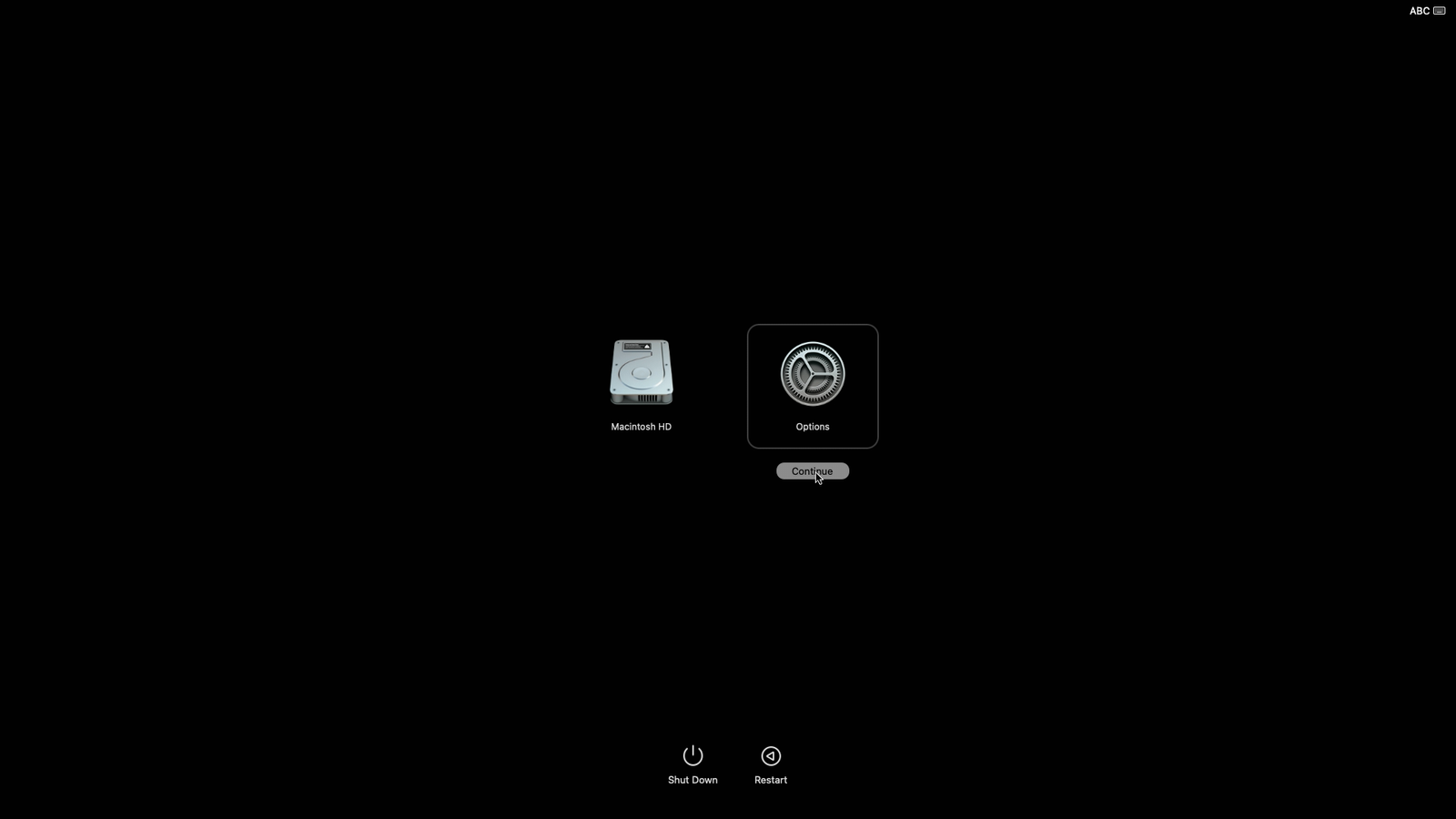 Mac boot options screen